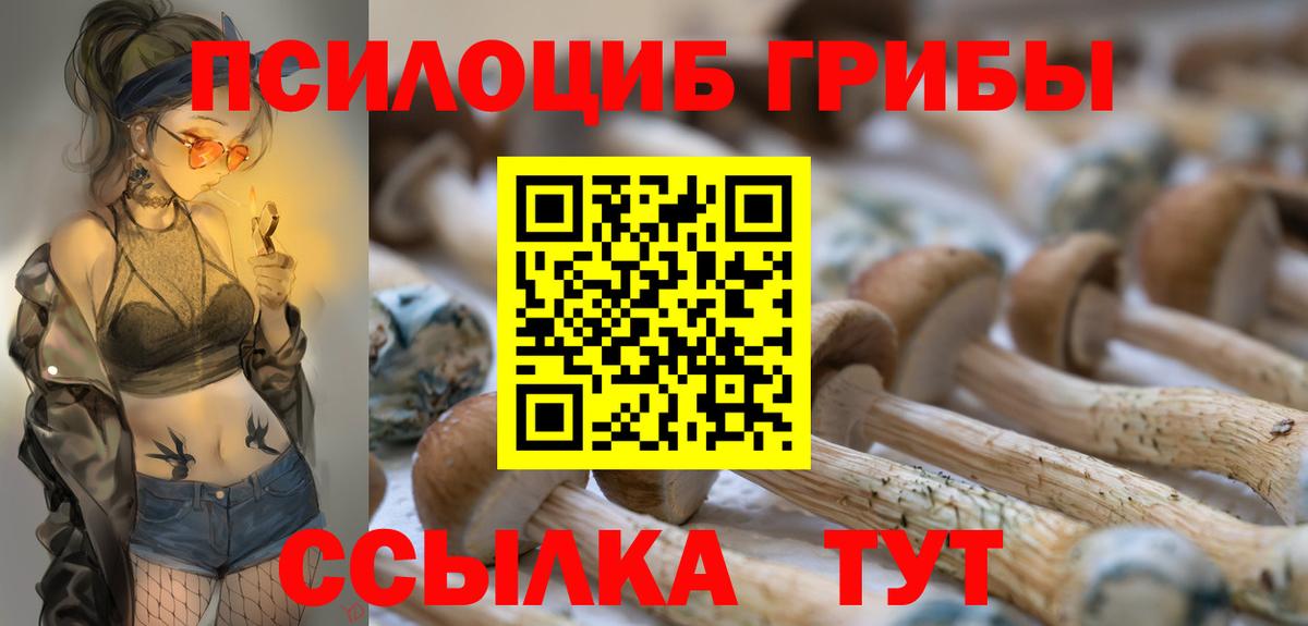 Электросталь  Псилоцибиновые грибы ЛСД  Псилоцибиновые грибы Magic Shrooms  Вход с VPN 